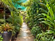 Top Siem Reap