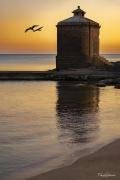 Top Leuca