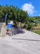 Top Cannicchio Top Cannicchio