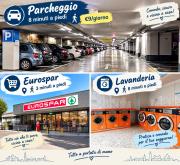 Top Vicenza