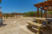 Top El Palmar