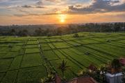 Top Ubud