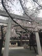 Top Tokyo