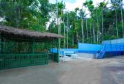Top Meenangadi Top Meenangadi