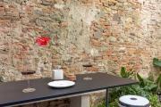 Top Lucca