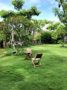 Top Làng Phước Bửu