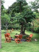 Top Làng Phước Bửu