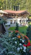Top Sinaia