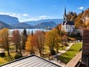 Top Bled