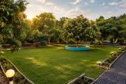 Top Sasan Gir Top Sasan Gir