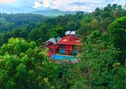 Top Wayanad
