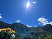 Top Ceres