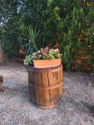 Top Appignano