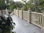Top Savannah