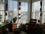 Top Savannah