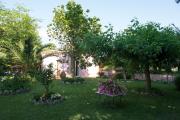 Top Salemi