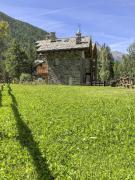 Top Cogne
