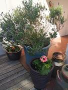 Top Grabouw Top Grabouw