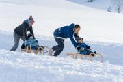 Top Titisee-Neustadt