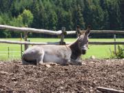 Top Titisee-Neustadt