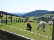 Top Titisee-Neustadt