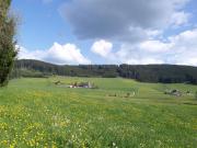 Top Titisee-Neustadt