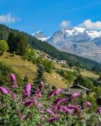 Top Champoluc
