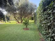 Top El Bougaria