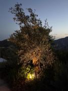 Top Frigiliana Top Frigiliana