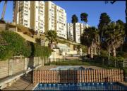 Top Algarrobo