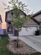 Top Edmonton