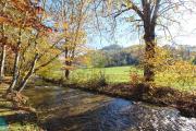 Bear Creek Cabin on the Creek