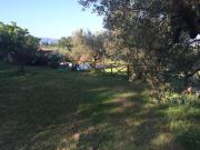 Top Montefalco