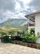 Top Nandi