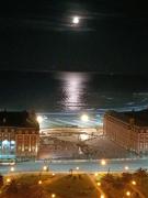 Top Mar del Plata