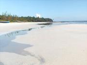 Top Malvan