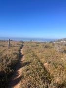 Top Langebaan