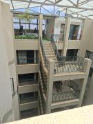 Beanitah suites