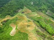 Top Tả Van