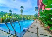 Top Wayanad