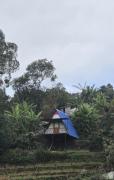 PVA farms KODAIKANAL