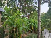Top Varkala