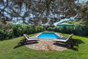 Top Cuile Pazzoni