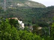 Top Torrenova