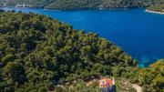 Top Smokvica