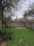 Top Marloth Park