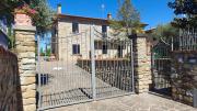 Top Arezzo