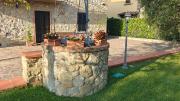 Top Arezzo