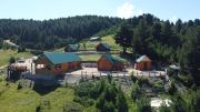 Top Berane