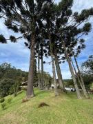 Top Rancho Queimado